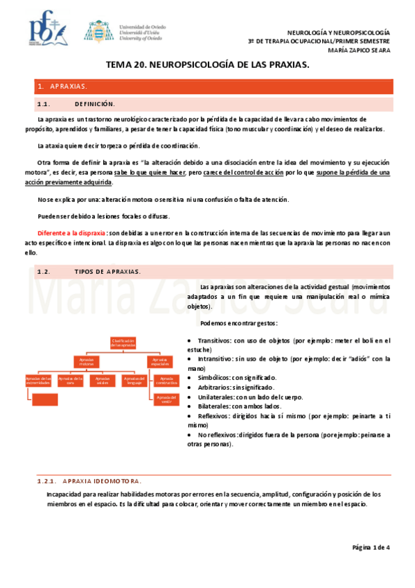 Miniatura del documento Tema-20.-Neuropsicologia-de-la-Praxis-normalidad-patologia-y-evaluacion.pdf