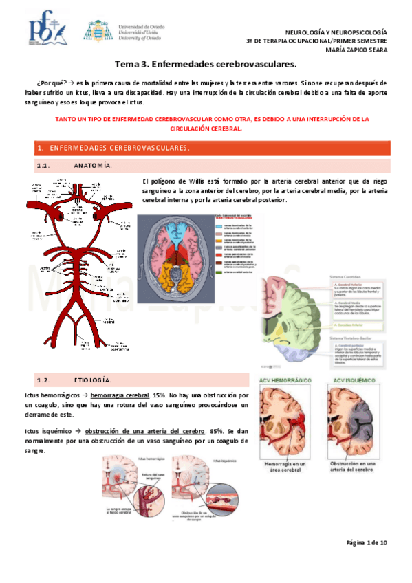 Miniatura del documento Tema-3.-Enfermedades-cerebrovasculares.pdf