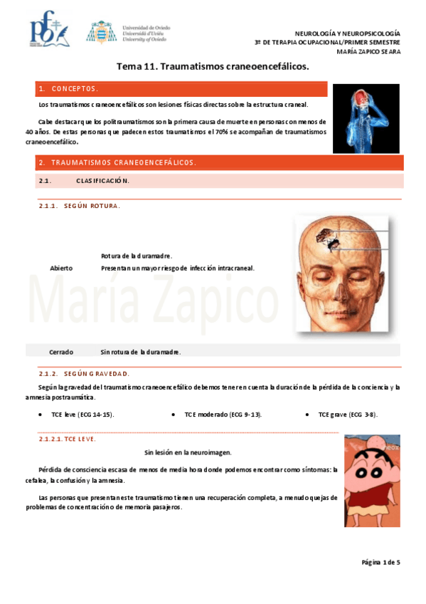 Miniatura del documento Tema-11.-Traumatismo-craneoencefalico.pdf