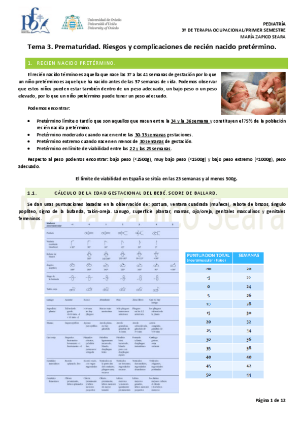 Miniatura del documento Tema-3.-Prematuridad.-Riesgos-y-complicaciones-del-recien-nacido-pretermino.pdf