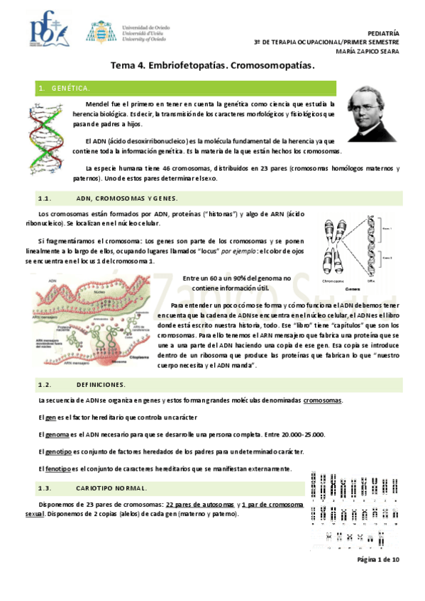 Miniatura del documento Tema-4.-Embriofetopatias.pdf