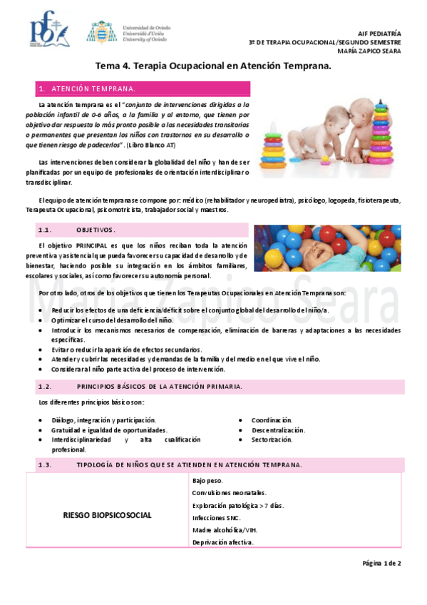 Miniatura del documento Tema-4.-Terapia-Ocupacional-en-Atencion-Temprana.pdf