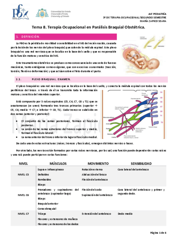 Miniatura del documento Tema-8.-Terapia-Ocupacional-en-Paralisis-Braquial-Obstetrica.pdf