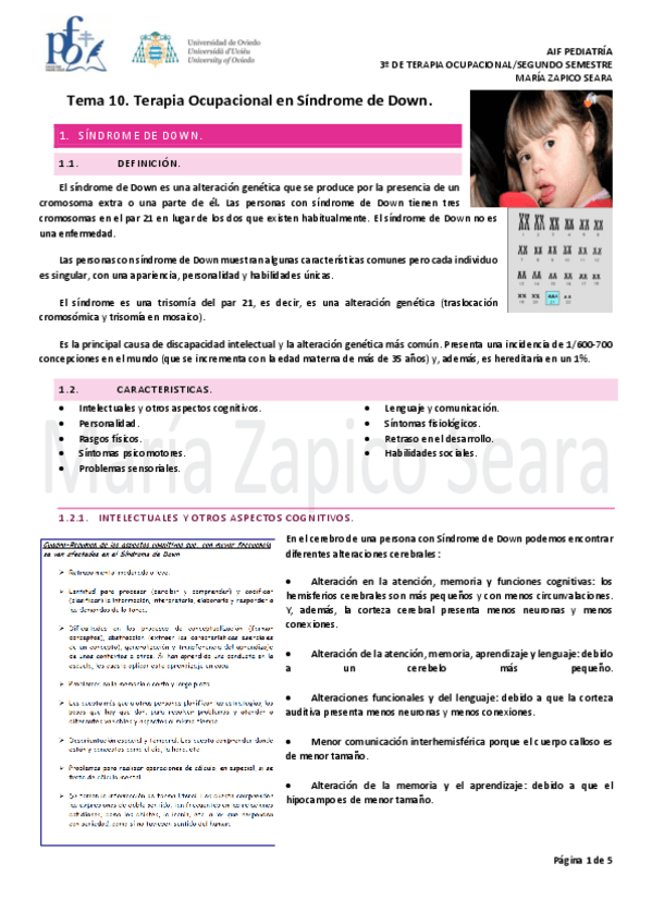 Miniatura del documento Tema-10.-Terapia-Ocupacional-en-Sindrome-de-Down.pdf