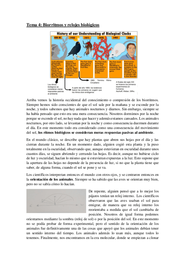 Miniatura del documento Tema-4.pdf