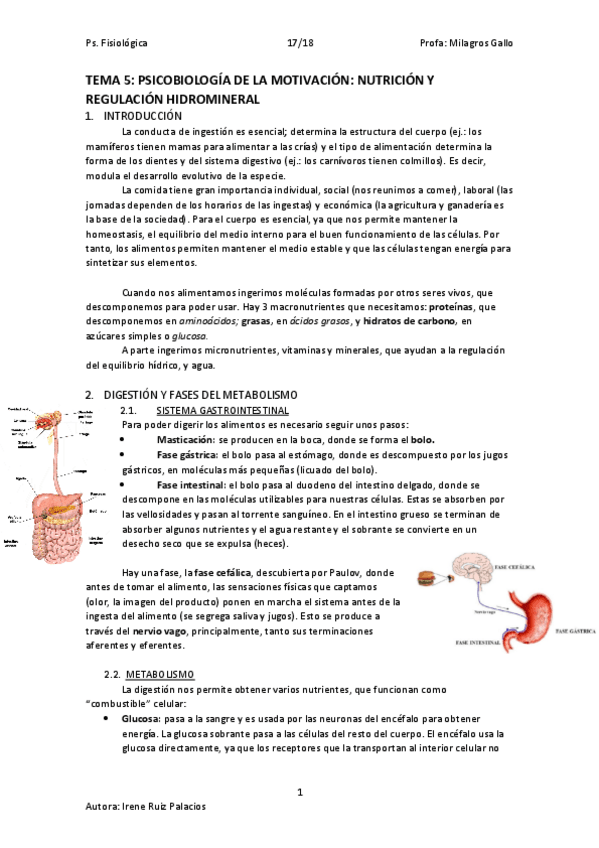 Miniatura del documento TEMA 5.pdf