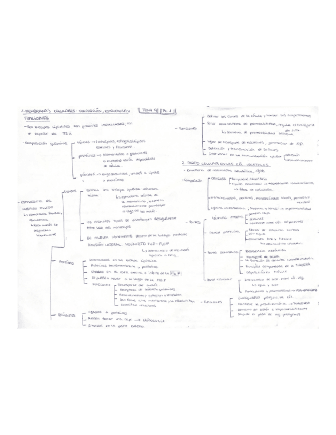 Miniatura del documento esquema-t.9-parte-1.pdf