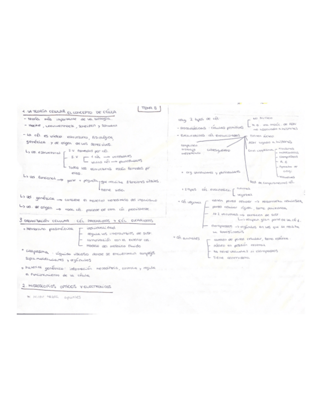 Miniatura del documento esquema-t-.8.pdf