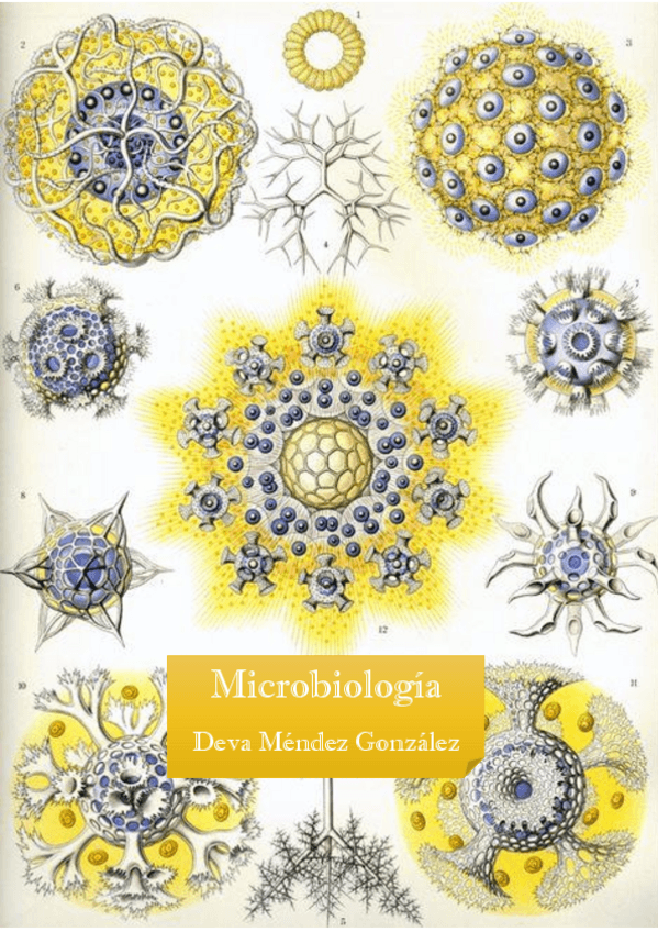 Miniatura del documento Microbiologia-primer-cuatri.pdf