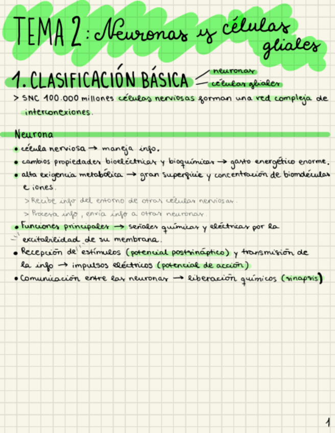 Miniatura del documento TEMA-2-NEUROCIENCIA.pdf