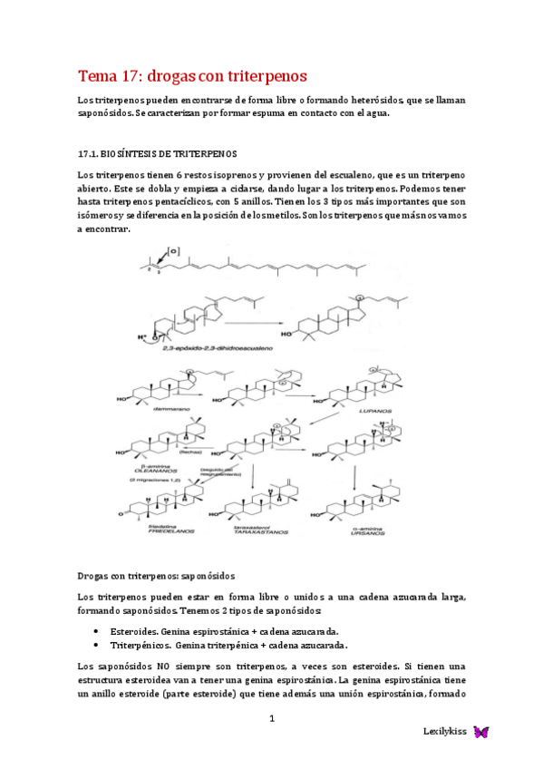 Miniatura del documento Tema 17 farmacognosia.pdf