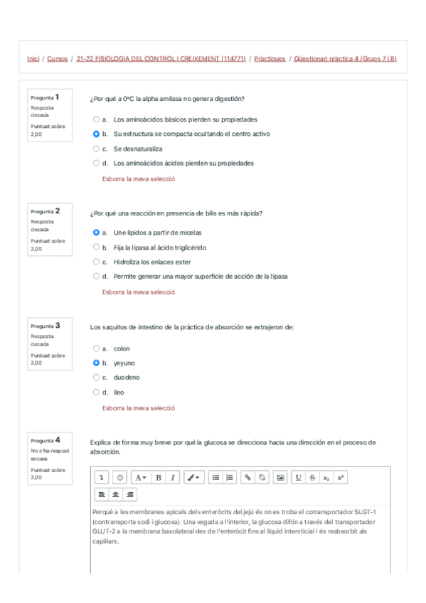 Miniatura del documento Questionari-practica-4-Grups-7-i-8.pdf