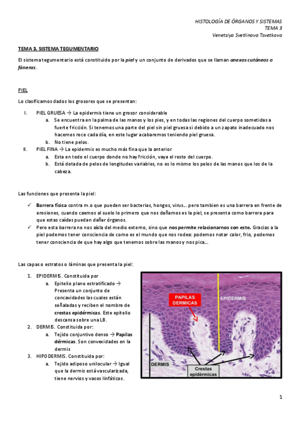 Miniatura del documento HOS-3.-Sistema-tegumentario.pdf