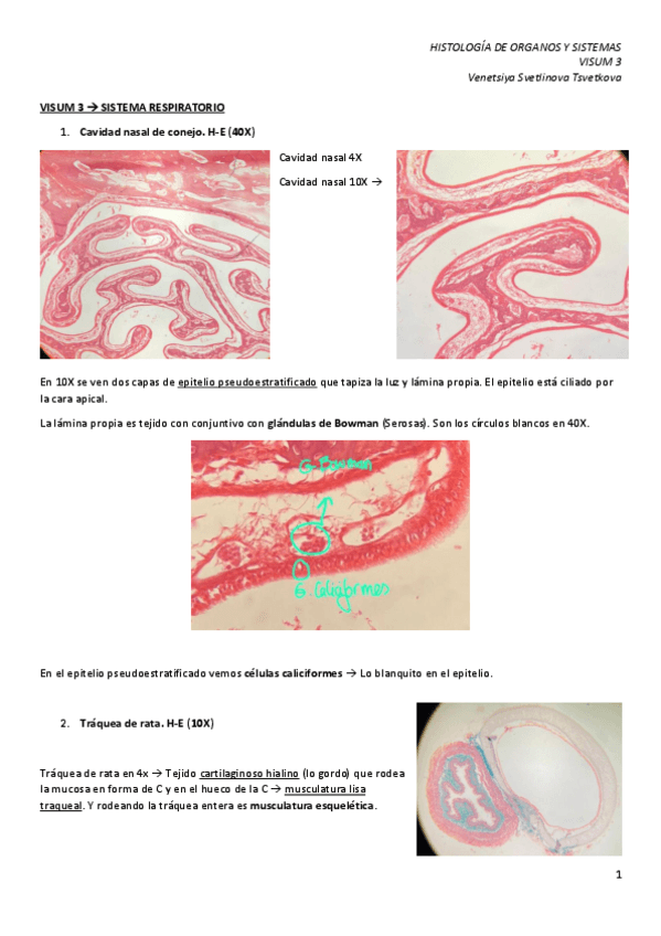 Miniatura del documento VISUM-3.pdf