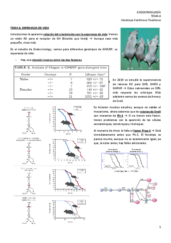 Miniatura del documento TEMA-6.-Esperanza-de-vida.pdf