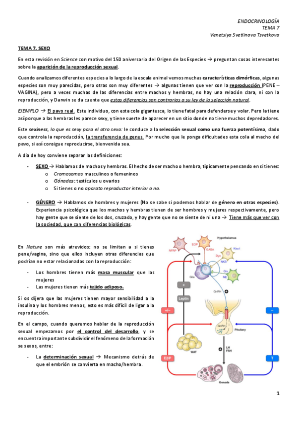 Miniatura del documento TEMA-7.-Sexo.pdf