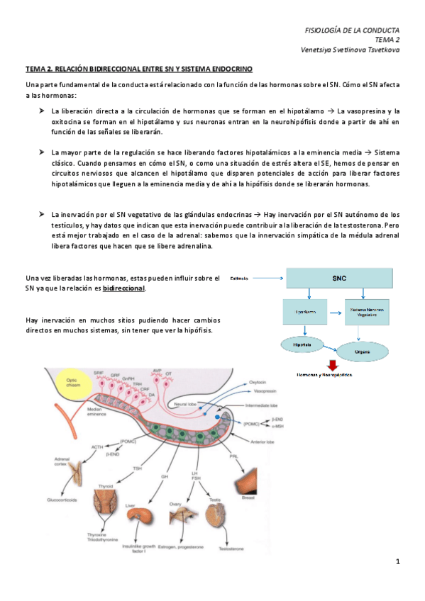 Miniatura del documento TEMA-2.-Relacion-bidireccional-SN-y-SE.pdf