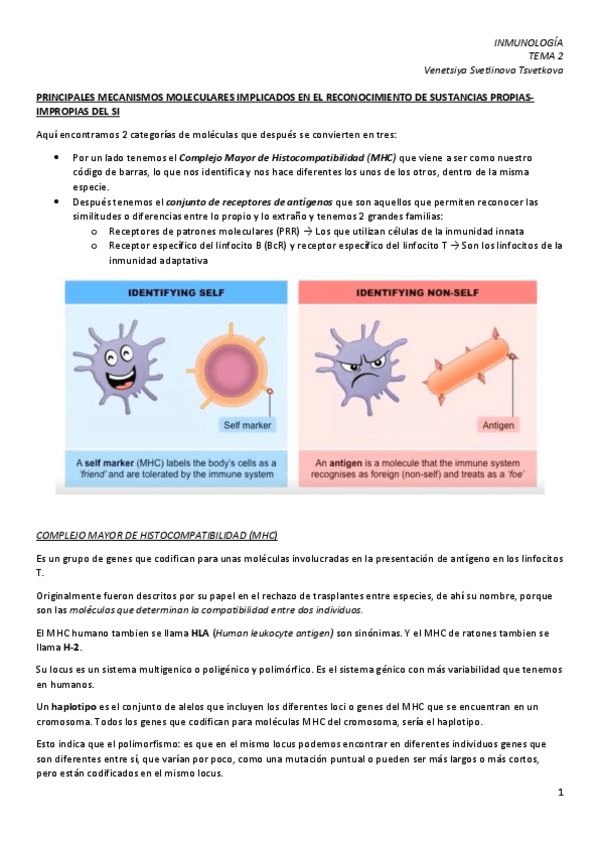 Miniatura del documento IM-2.-HLA-y-MHC.pdf