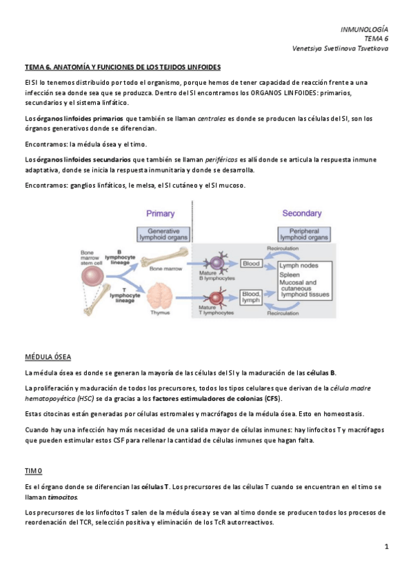 Miniatura del documento IM-6.-Anatomia-y-funciones-de-los-tejidos-linfoides.pdf