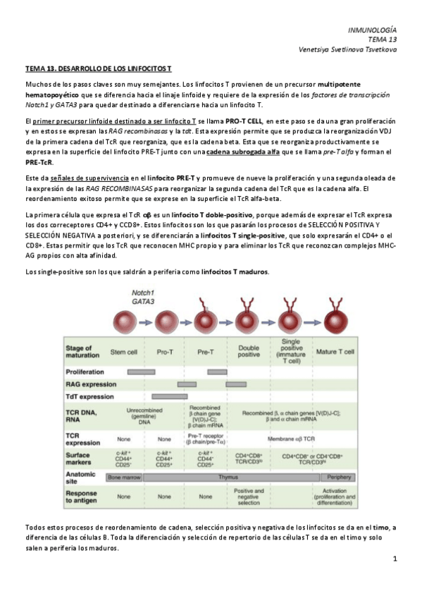 Miniatura del documento IM-13.-Desarrollo-de-los-linfocitos-T.pdf
