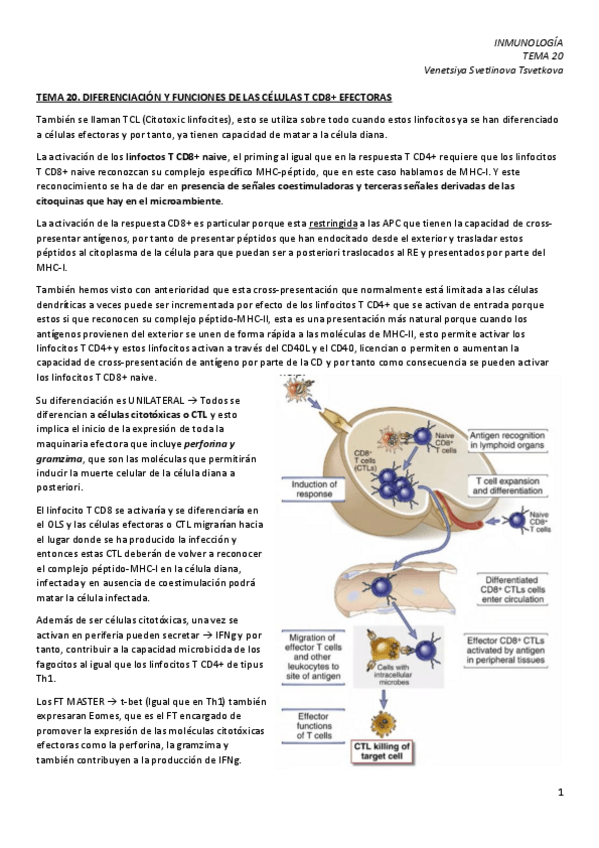 Miniatura del documento IM-20.-Desarrollo-de-linfocitos-T-CD8.pdf