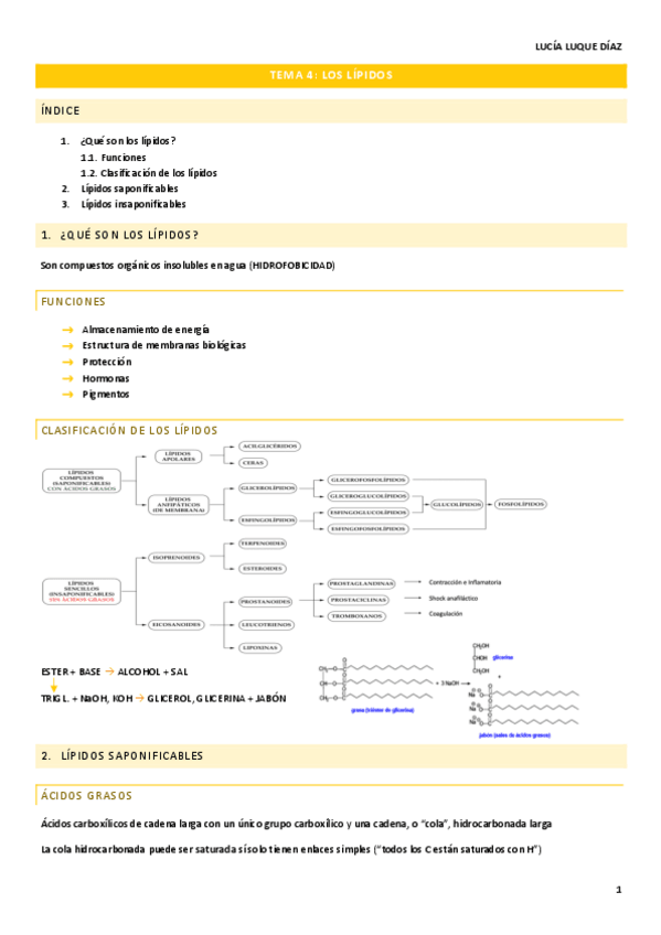 Miniatura del documento TEMA-4-BIOQUIMICA-L.pdf