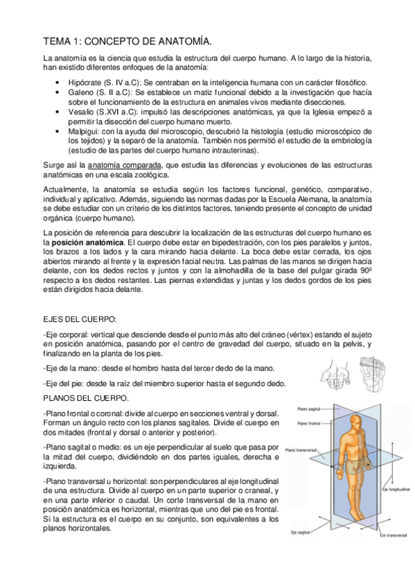 Miniatura del documento T1.pdf