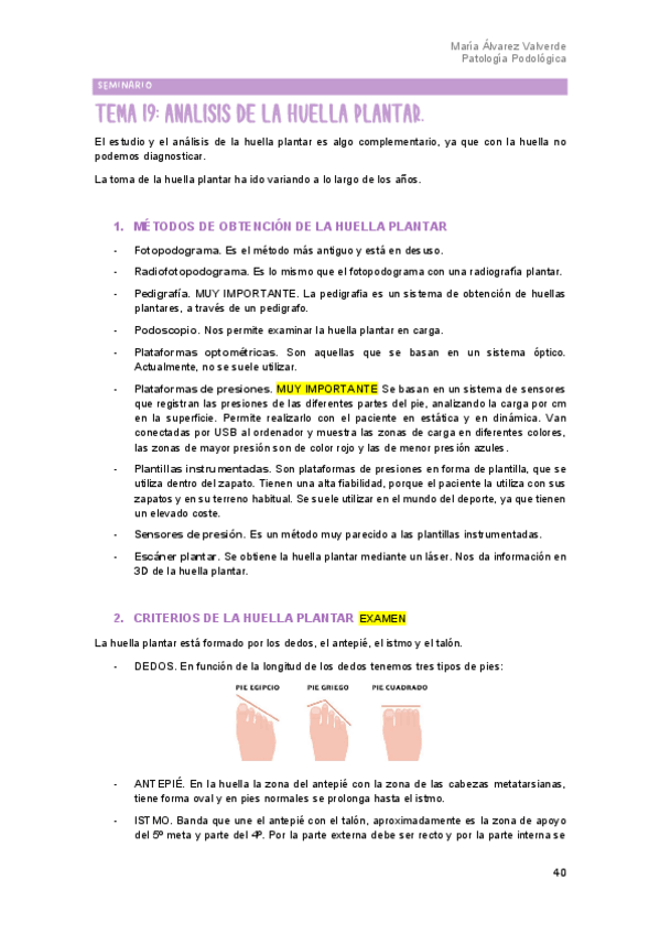 Miniatura del documento SEMINARIO-HUELLA-MARIA-REINA.pdf