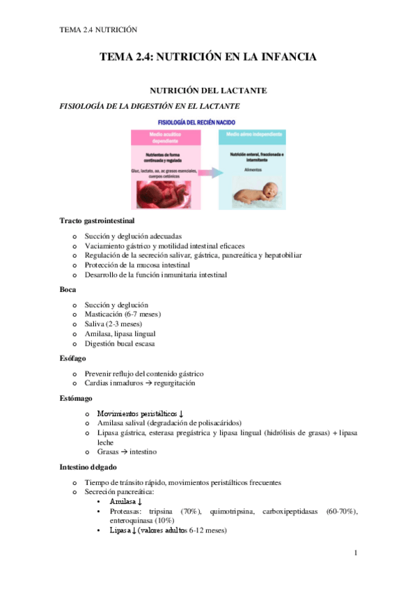 Miniatura del documento TEMA-2.4-pdf.pdf