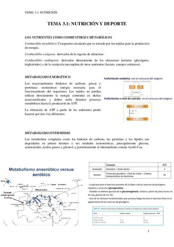 Miniatura del documento TEMA-3.1-pdf.pdf