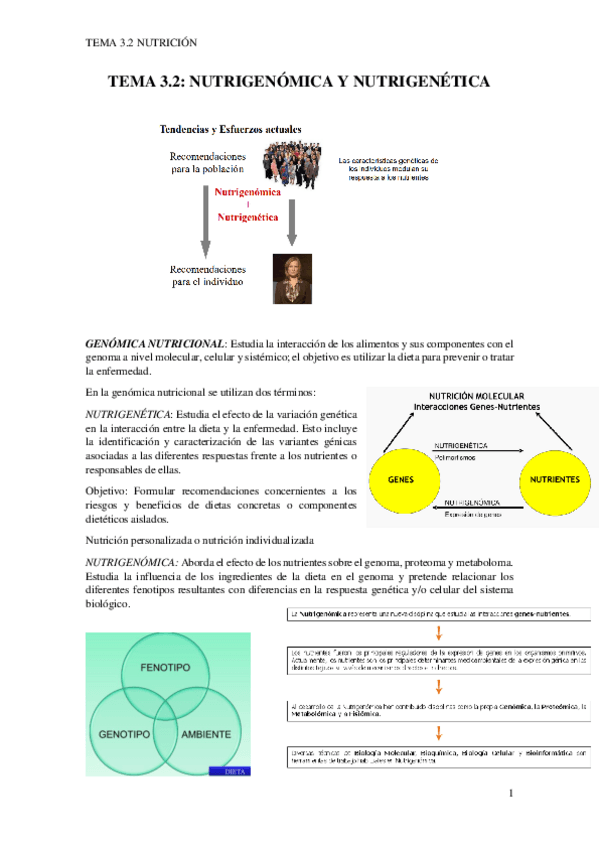 Miniatura del documento TEMA-3.2pdf.pdf