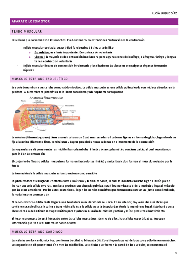 Miniatura del documento APARATO-LOCOMOTOR-L.pdf