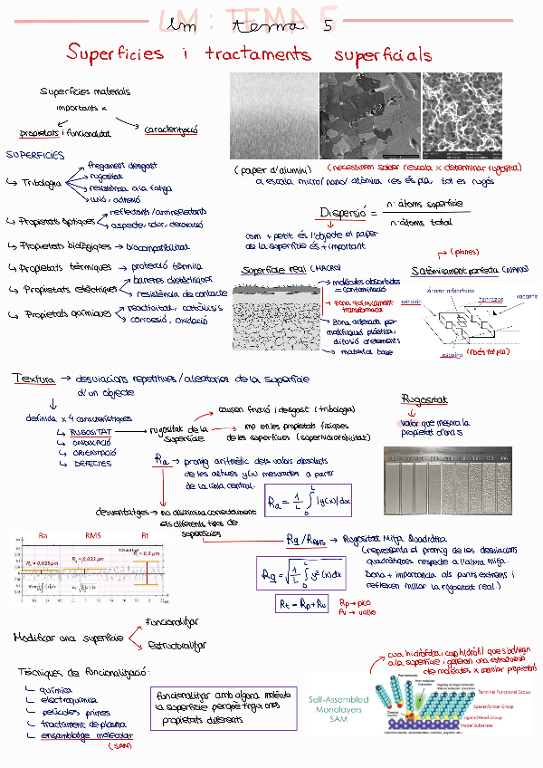 Miniatura del documento LM-tema-5.pdf