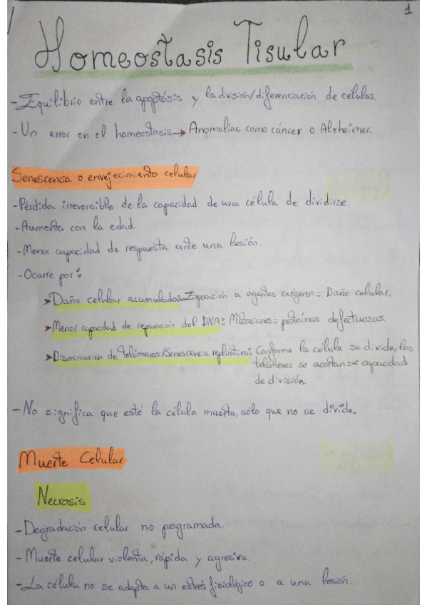 Miniatura del documento RESUMEN-HOMEOSTASIS-TISULAR.pdf