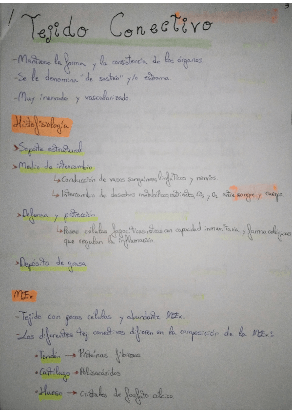 Miniatura del documento RESUMEN-TEJIDO-CONECTIVO.pdf