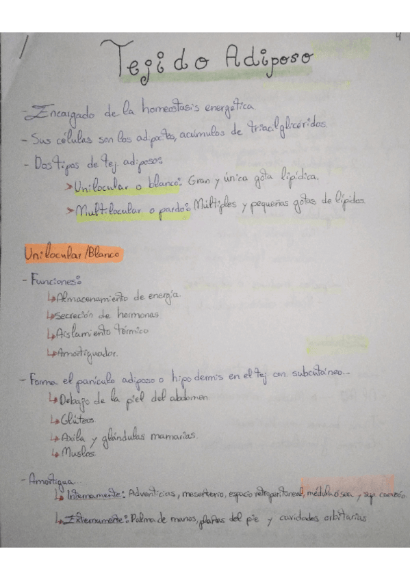 Miniatura del documento RESUMEN-TEJIDO-ADIPOSO.pdf