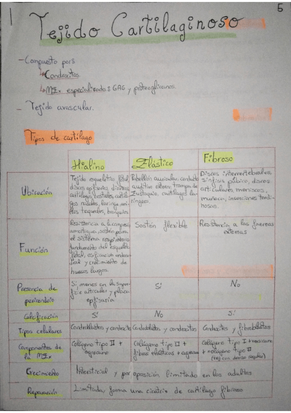 Miniatura del documento RESUMEN-TEJIDO-CARTILAGINOSO.pdf