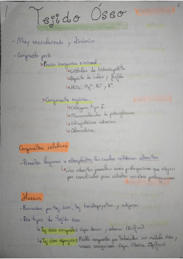 Miniatura del documento RESUEMN-TEJIDO-OSEO.pdf