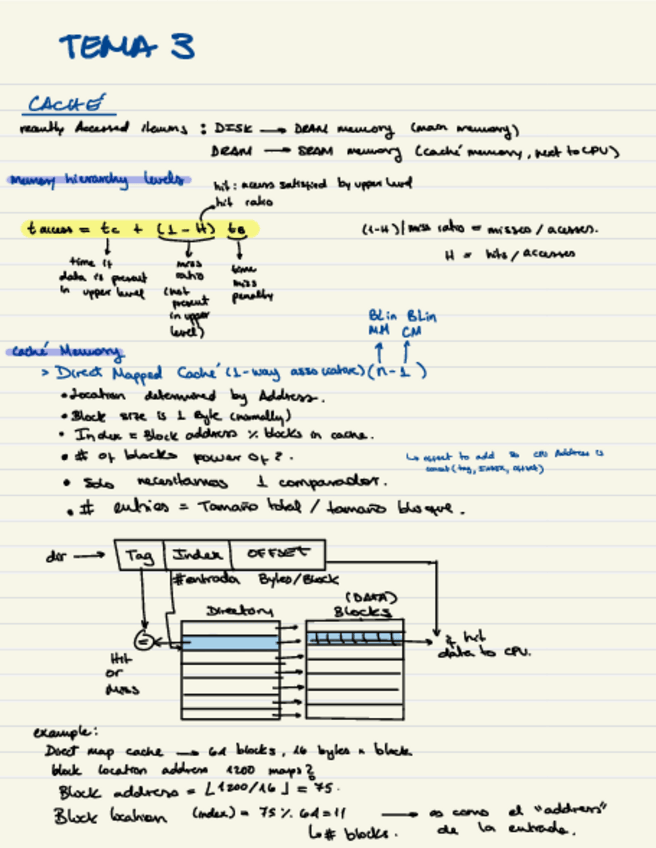 Miniatura del documento APUNTES-TEMA-3.pdf