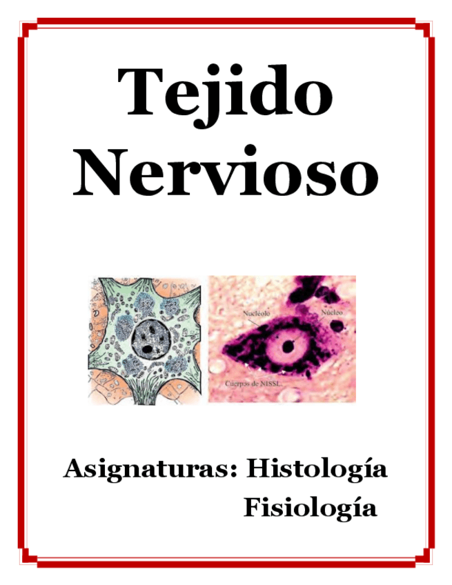 Miniatura del documento Tejido-Nervioso.pdf