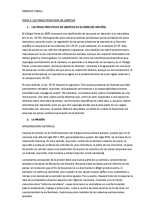 Miniatura del documento TEMA-6-DEFINITIVO-DERECHO-PENAL-I.pdf