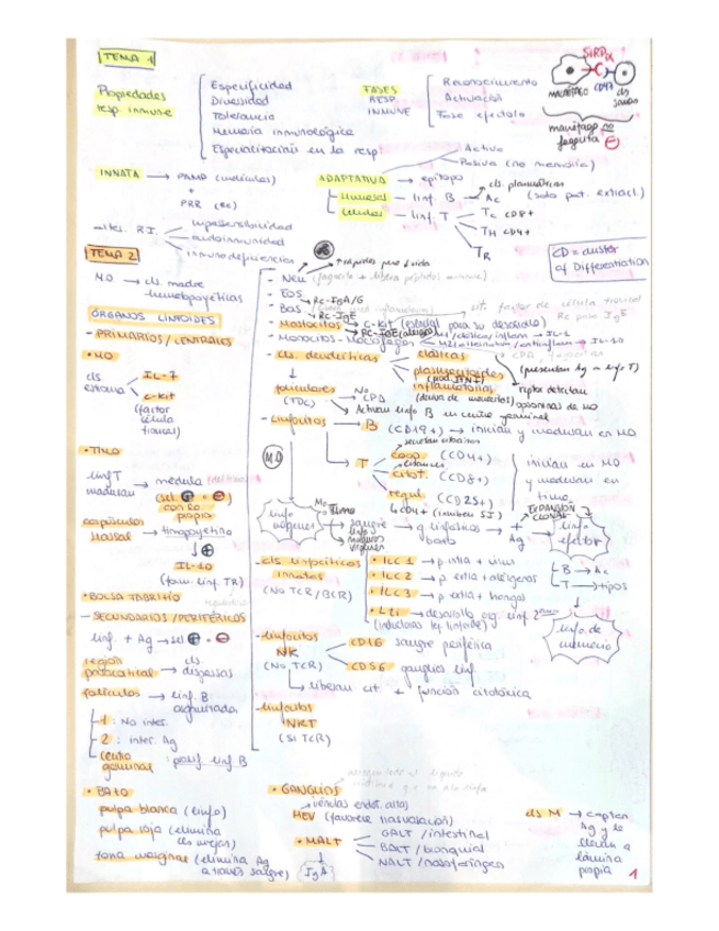 Miniatura del documento Resumen-esquemas-inmuno.pdf