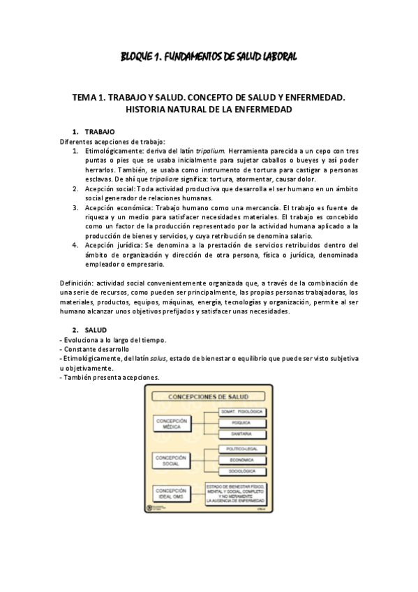 Miniatura del documento FINAL-SALUD-LABORAL.pdf