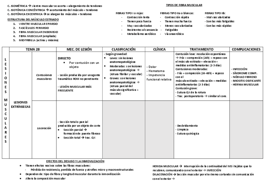 Miniatura del documento TEMA-28-LESIONES-MUSCULARES.pdf