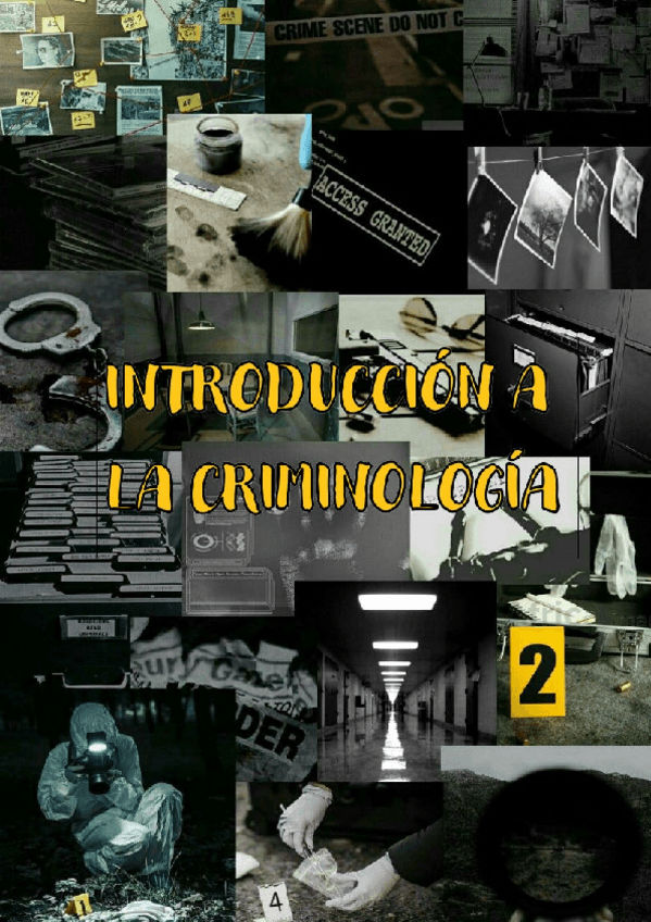 Miniatura del documento Introduccion-a-la-Criminologia-de-Ana-I..pdf