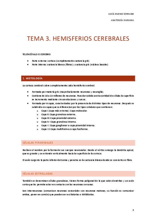 Miniatura del documento TEMA-3.-HEMISFERIOS-CEREBRALES.pdf