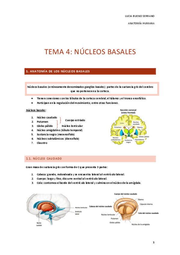 Miniatura del documento TEMA-4.-NUCLEOS-BASALES.pdf