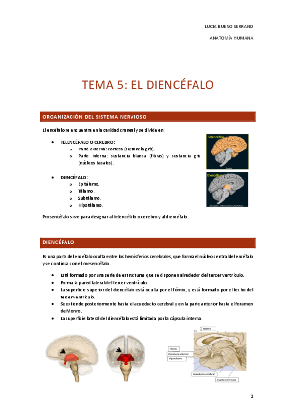 Miniatura del documento TEMA-5.-EL-DIENCEFALO.pdf