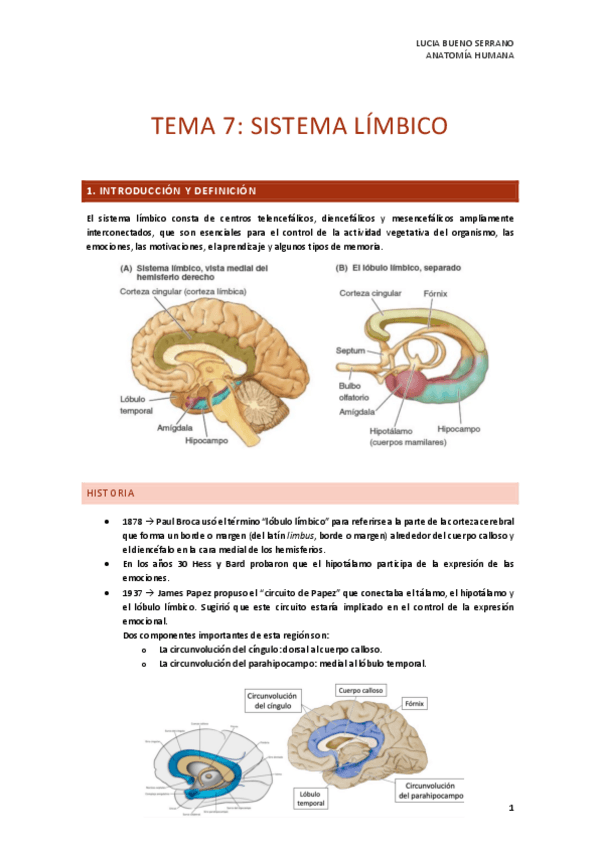 Miniatura del documento TEMA-7.-SISTEMA-LIMBICO.pdf