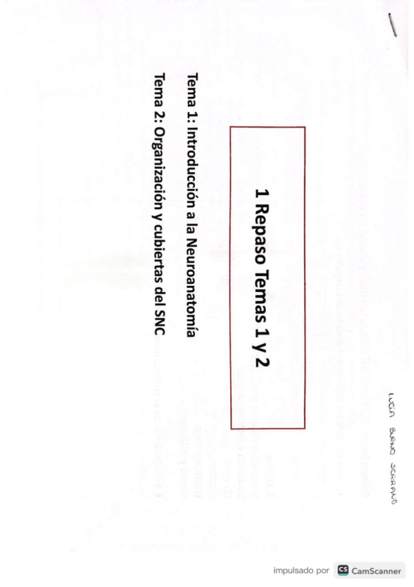 Miniatura del documento CUADERNILLO-T1-Y-T2-ANATOMIA.pdf